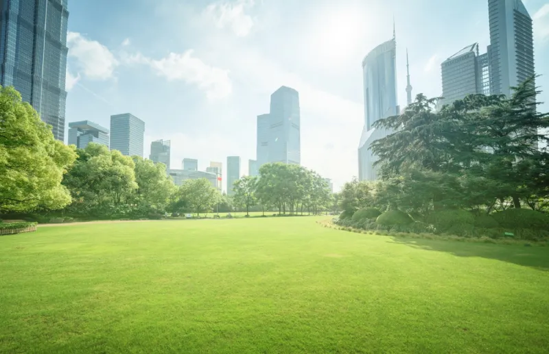 Park