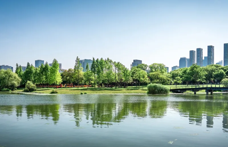 NYC Lake